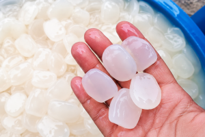 Sugar Palm Fruit